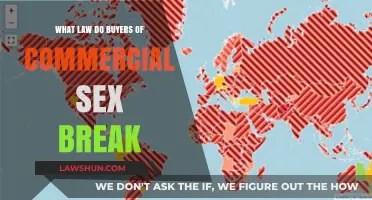 Unveiling the Legal Web: Buyer's Role in Commercial Sex