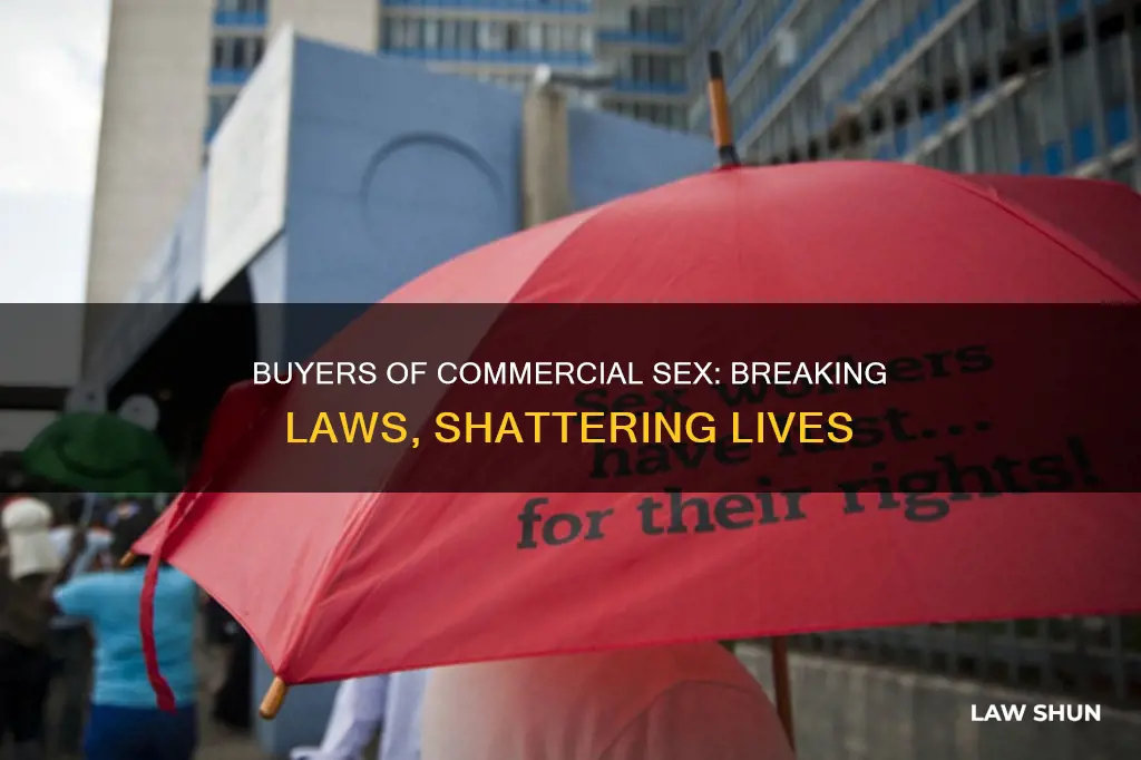 what law do buyers of commercial sex break