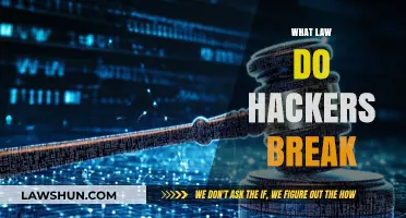 Unveiling the Digital Shadows: Exploring the Laws Hackers Violate