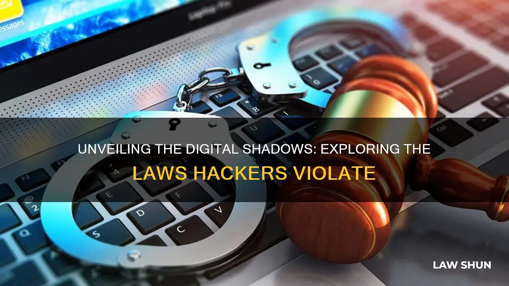 what law do hackers break