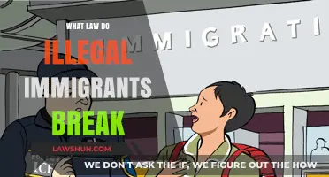 Uncovering the Legal Breaches: Illegal Immigration and Its Consequences