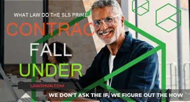 Understanding SLS Prime Contracts: Under Which Law?