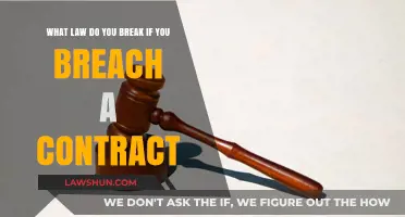 Understanding the Legal Ramifications: Breaching a Contract and the Laws You Might Violate