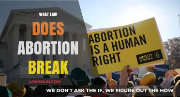 Unraveling the Legal Debate: Abortion's Ethical and Legal Implications