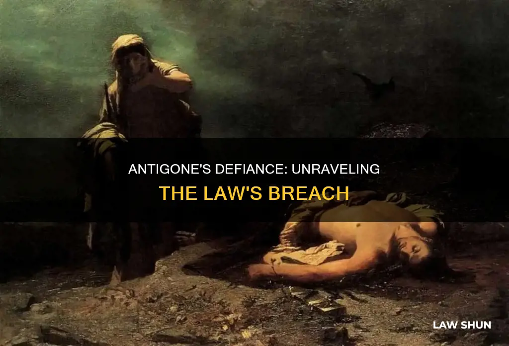 what law does antigone break