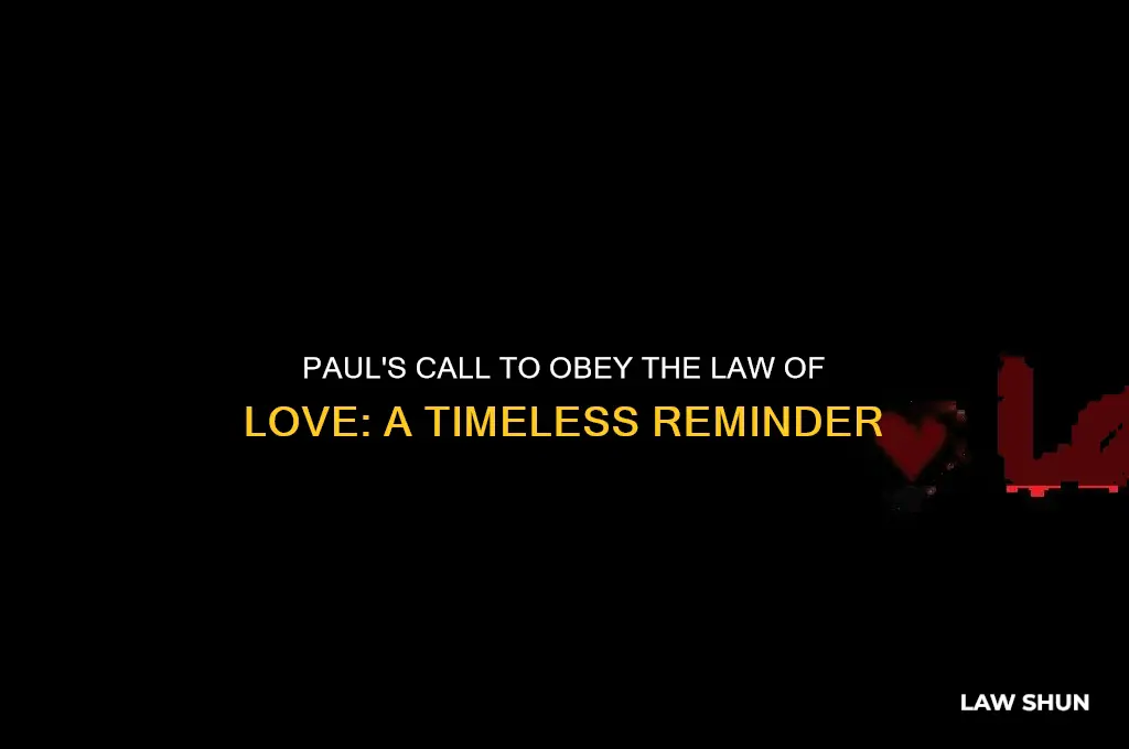 what law does apostle paul reminds his readers to obey