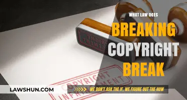 Understanding Copyright Infringement: The Legal Implications of Breaking Copyright Law