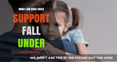 Understanding Child Support: Legal Framework and Family Law Basics