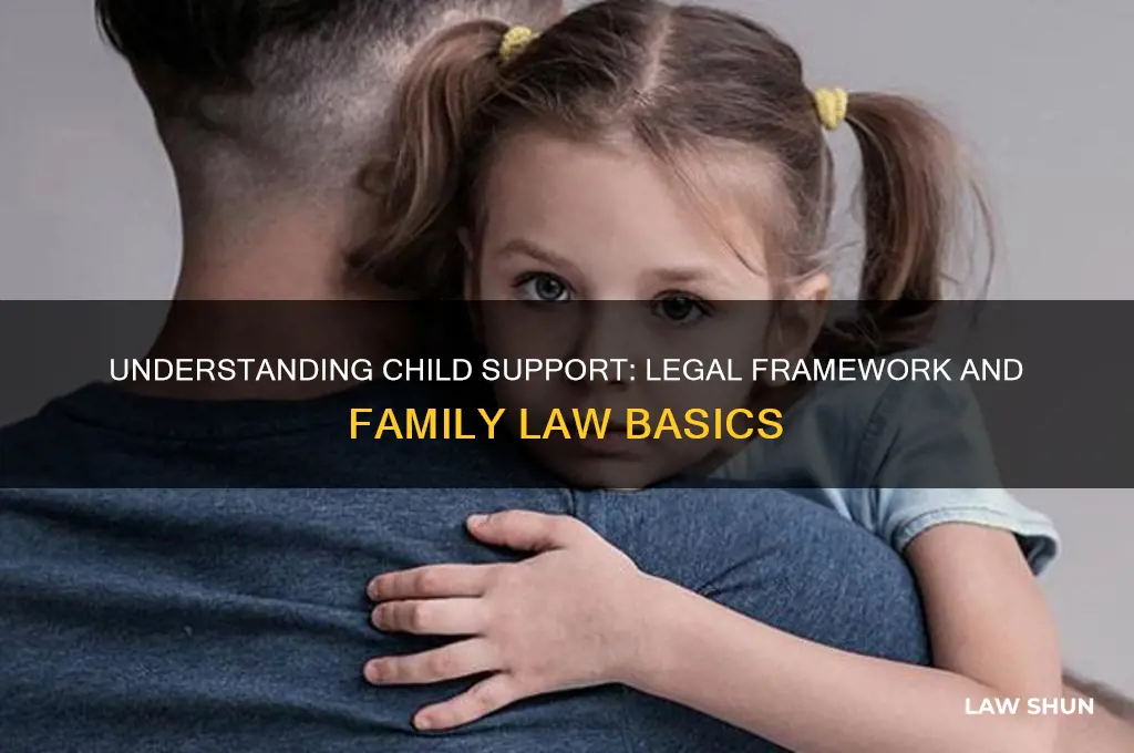 what law does child support fall under