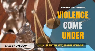 Understanding Domestic Violence: Legal Frameworks and Applicable Laws Explained