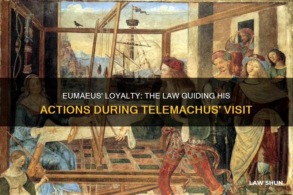 what law does eumaeus abide by when telemachus visits him