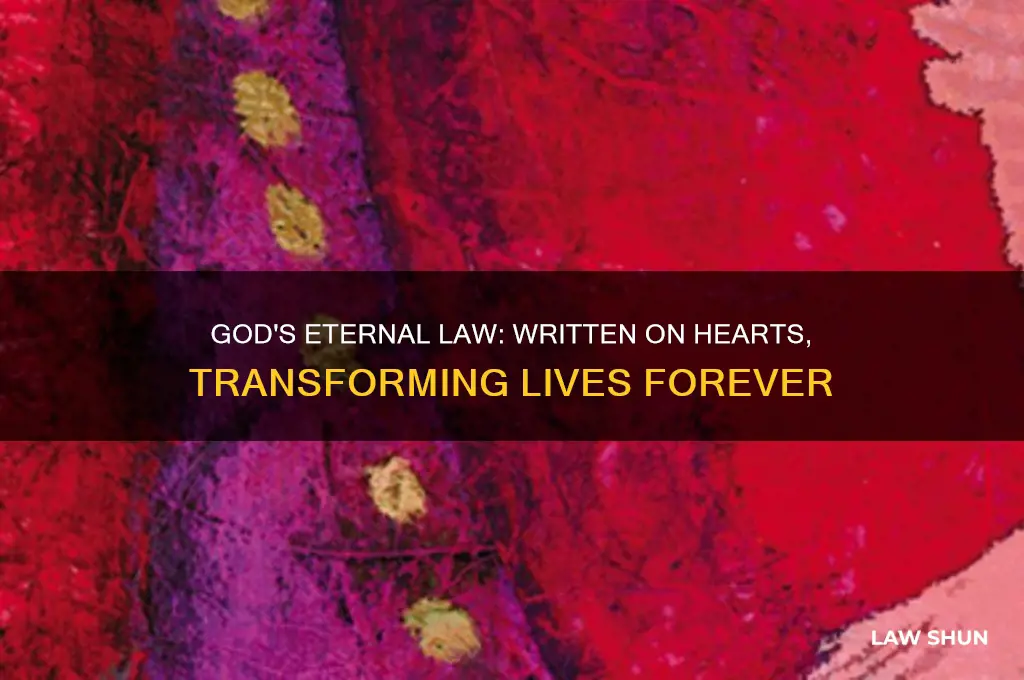 what law does god write on our hearts