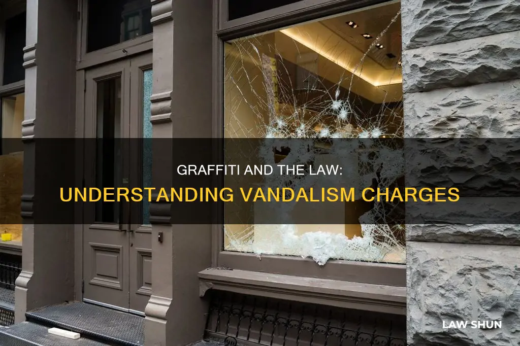 what law does graffiti break