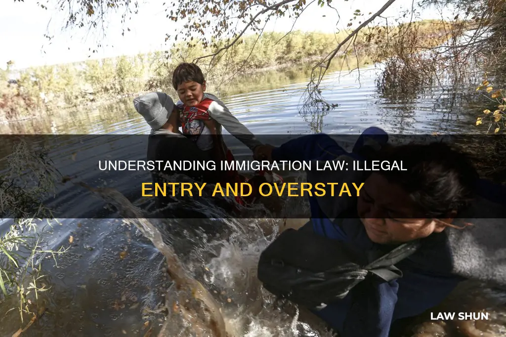 what law does illegal immagration break