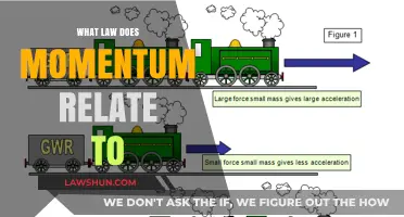 Understanding Momentum: Its Connection to Newton's Laws of Motion