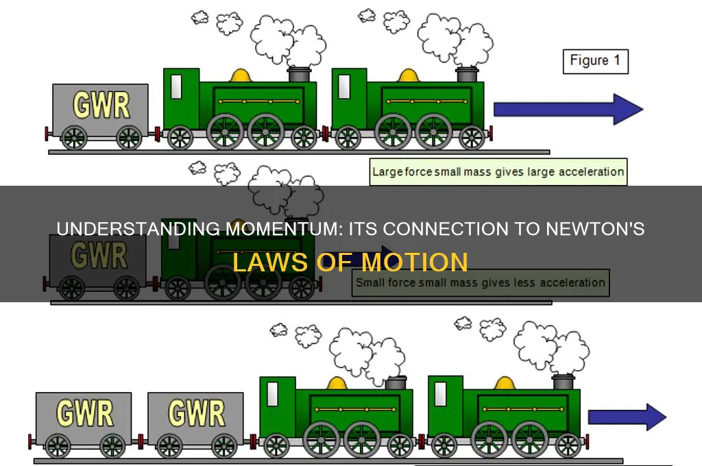 what law does momentum relate to