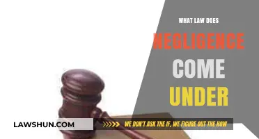 Understanding Negligence: Which Legal Framework Governs This Common Tort?