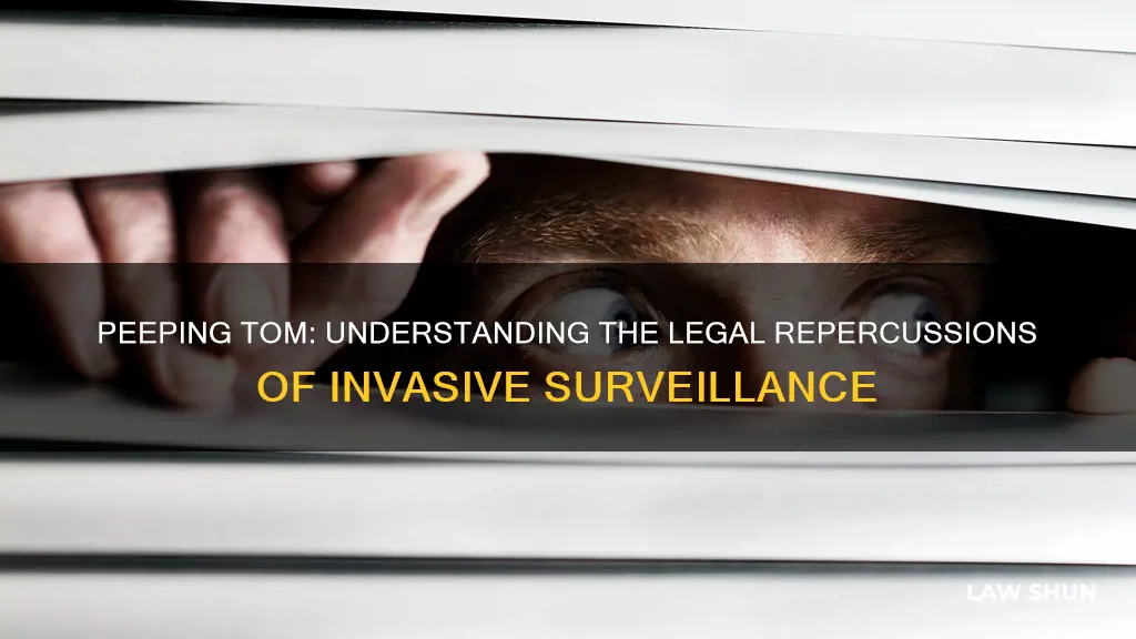 what law does peeping break