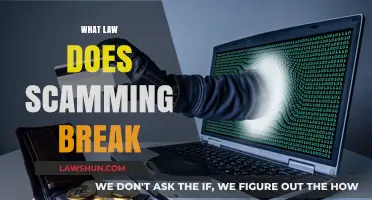 Unraveling the Legal Web: What Laws Are Broken When You're Scammed?