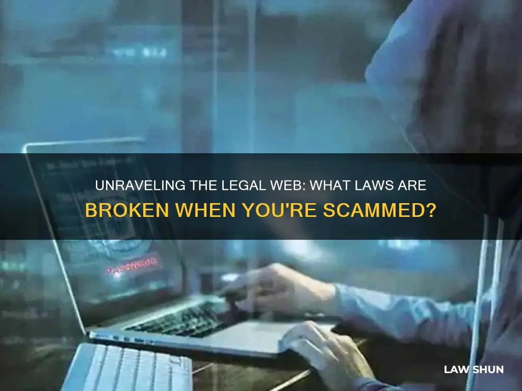 what law does scamming break