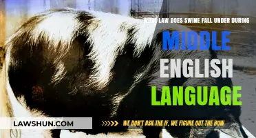 Swine and the Law: Middle English Legal Framework Explained