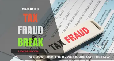 Uncovering Tax Fraud: The Laws That Protect Your Finances