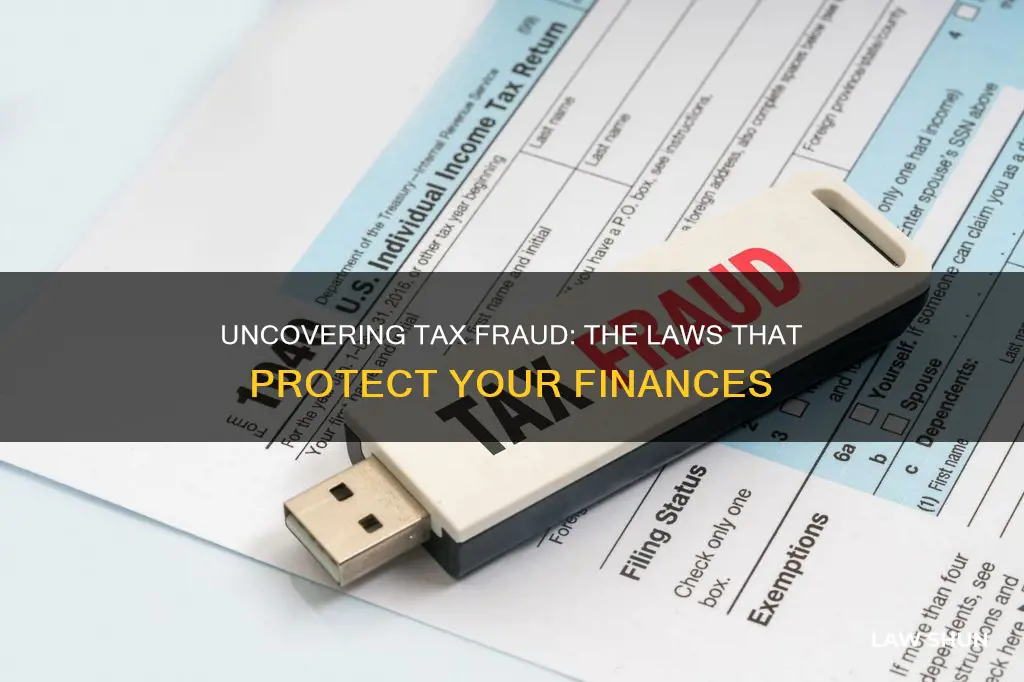 what law does tax fraud break