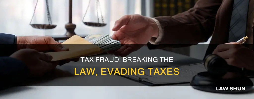 what law does tax fraud break