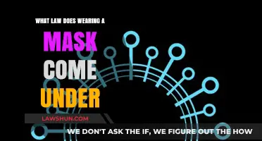 Understanding the Legal Basis for Mask Mandates: Which Law Applies?