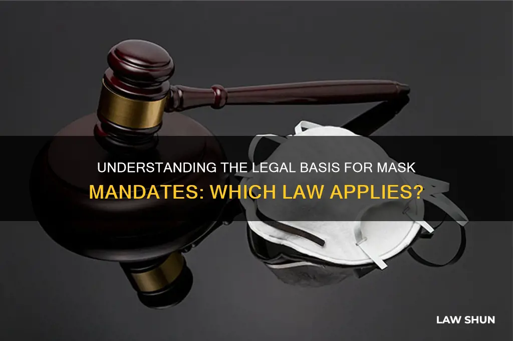 what law does wearing a mask come under