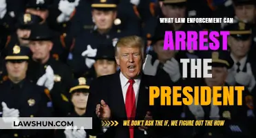 Who Can Arrest the President?