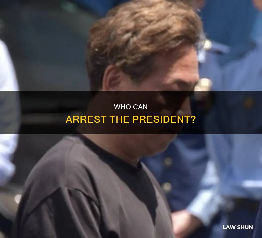 what law enforcement can arrest the president
