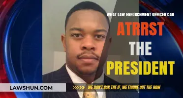 Who Can Arrest the President?