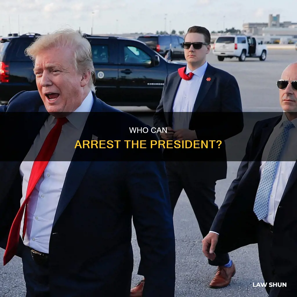 what law enforcement officer can atrrst the president