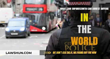 Global Arrest Powers: Who Can Arrest Anyone, Anywhere?