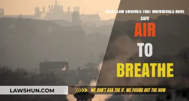 Breathing Easy: The Legal Framework for Clean Air Rights