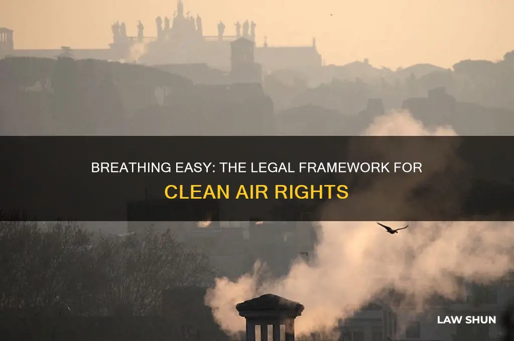 what law ensures that individuals have safe air to breathe