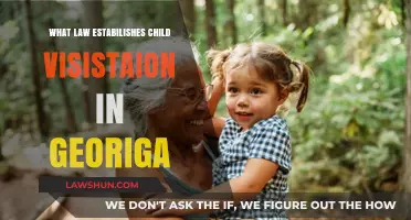 Understanding Georgia's Child Visitation Laws: Establishing Parental Rights and Time