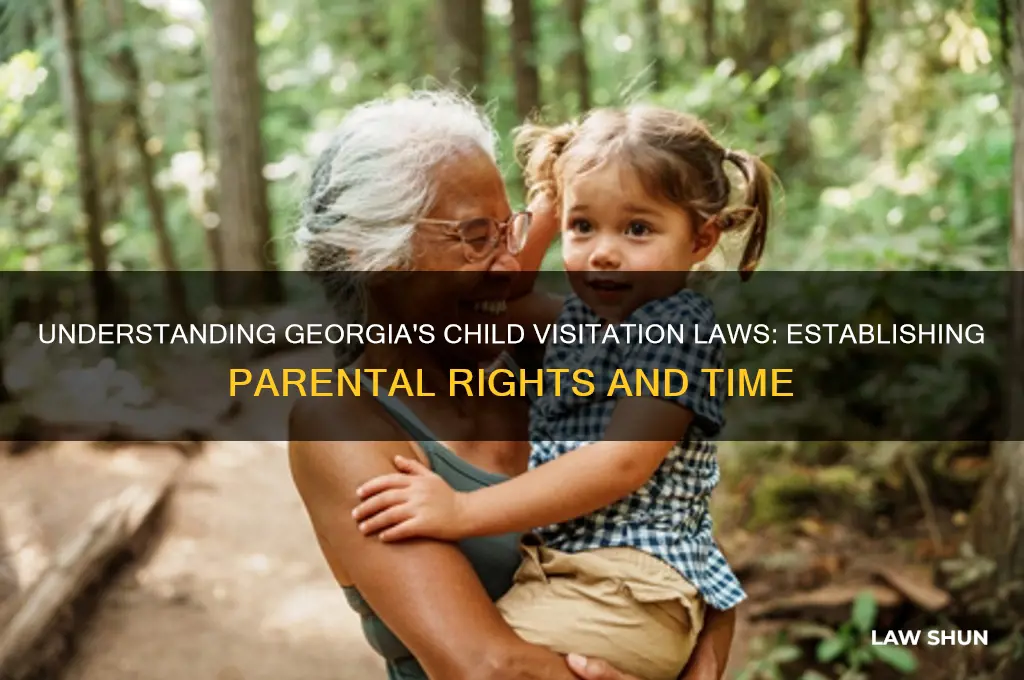 what law estabilishes child visistaion in georiga