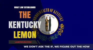 Understanding the Kentucky Lemon Law: Origins and Consumer Protections