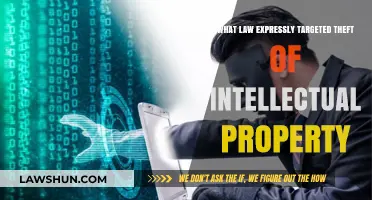 Theft of Intellectual Property: Laws Targeting IP Theft Explained