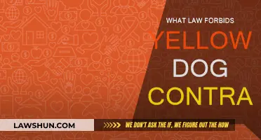Yellow Dog Contracts: What Law Forbids Them?