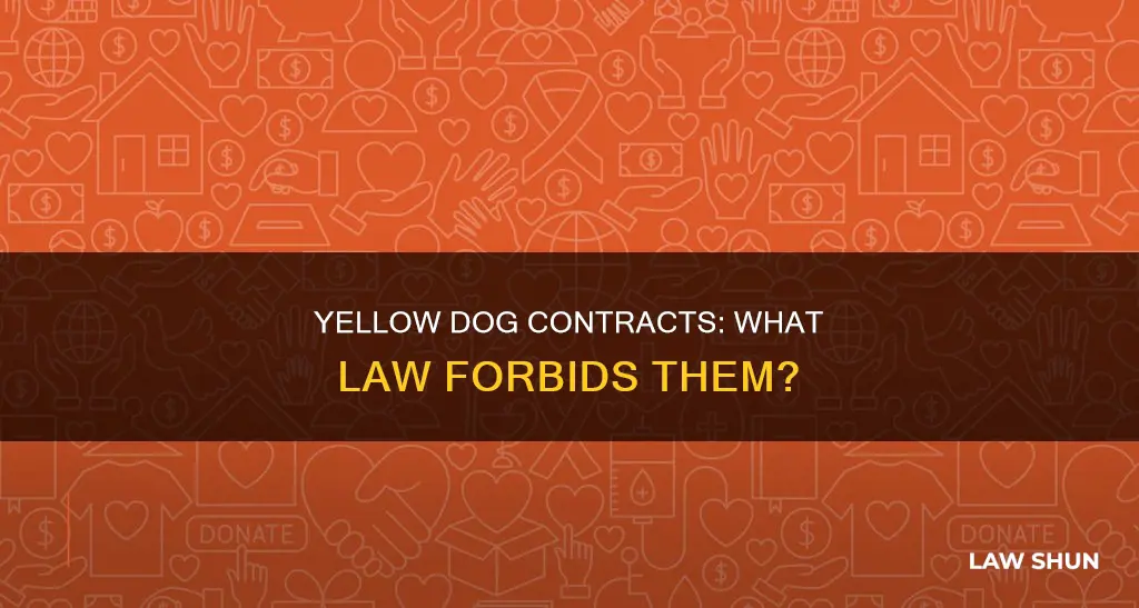 what law forbids yellow dog contracts