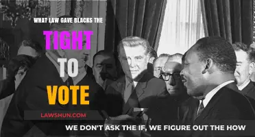 The Voting Rights Act: Empowering African Americans to Vote