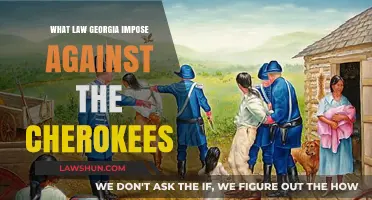 Georgia's Legal Assault on the Cherokee Nation: A Historical Overview