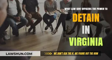 Virginia's Detention Laws: Understanding Officers' Authority to Detain Citizens