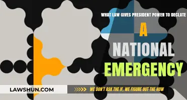 Understanding the National Emergencies Act: Presidential Authority Explained