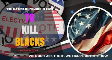 Presidential Authority and Racial Violence: Legal Frameworks and Historical Context