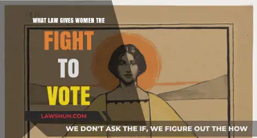 The 19th Amendment: Empowering Women's Right to Vote in America
