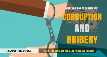 Legal Frameworks Combating Corruption: Bribery Laws and Their Impact